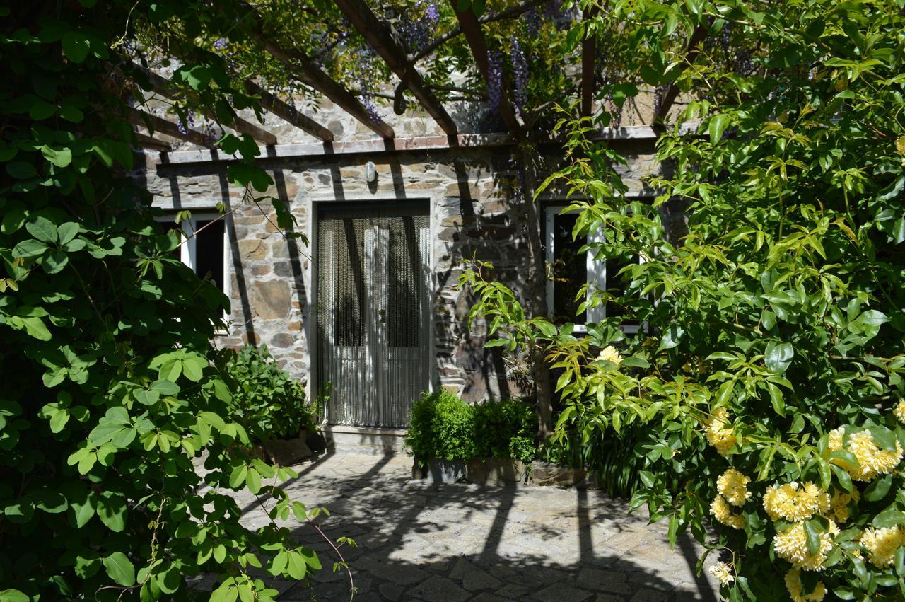 Mesao Provesende Hotel Екстериор снимка